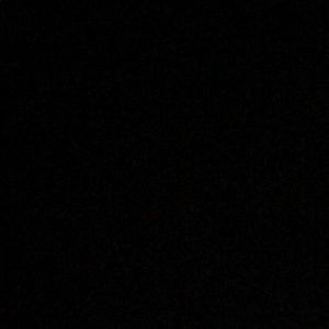 Meet your Posher, Harrison